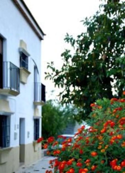 Eagles Nest - Massive Townhouse With Pool With Outstanding Views Villa Algodonales Exteriör bild